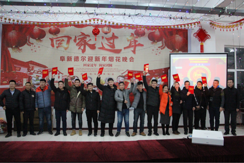 喜迎新春——暨阜新万利国际2019除夕烟花晚会(图4)